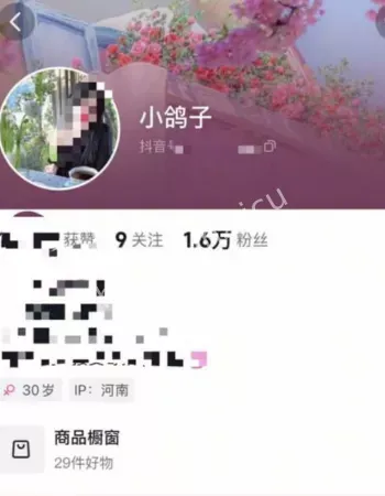 小鸽子